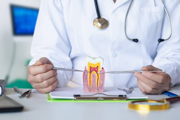 Best Emergency Tooth Extraction in Rosedale, LA